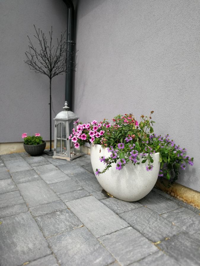 Zsinko Villa Pécs Eksteriør billede